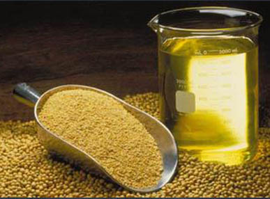 浅谈以大豆毛油生产环氧大豆油的工艺及要求